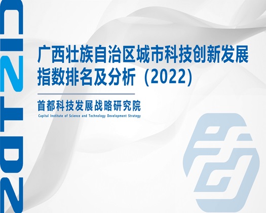 日逼插鸡巴免费黄色【成果发布】广西壮族自治区城市科技创新发展指数排名及分析（2022）